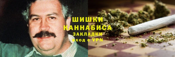 индика Зерноград