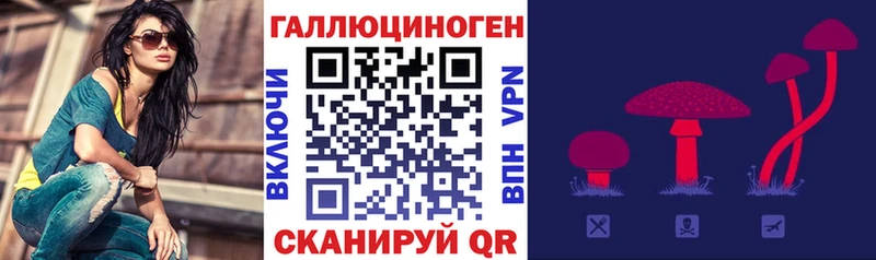 mega ССЫЛКА  что такое наркотик  Закаменск  Псилоцибиновые грибы ЛСД 